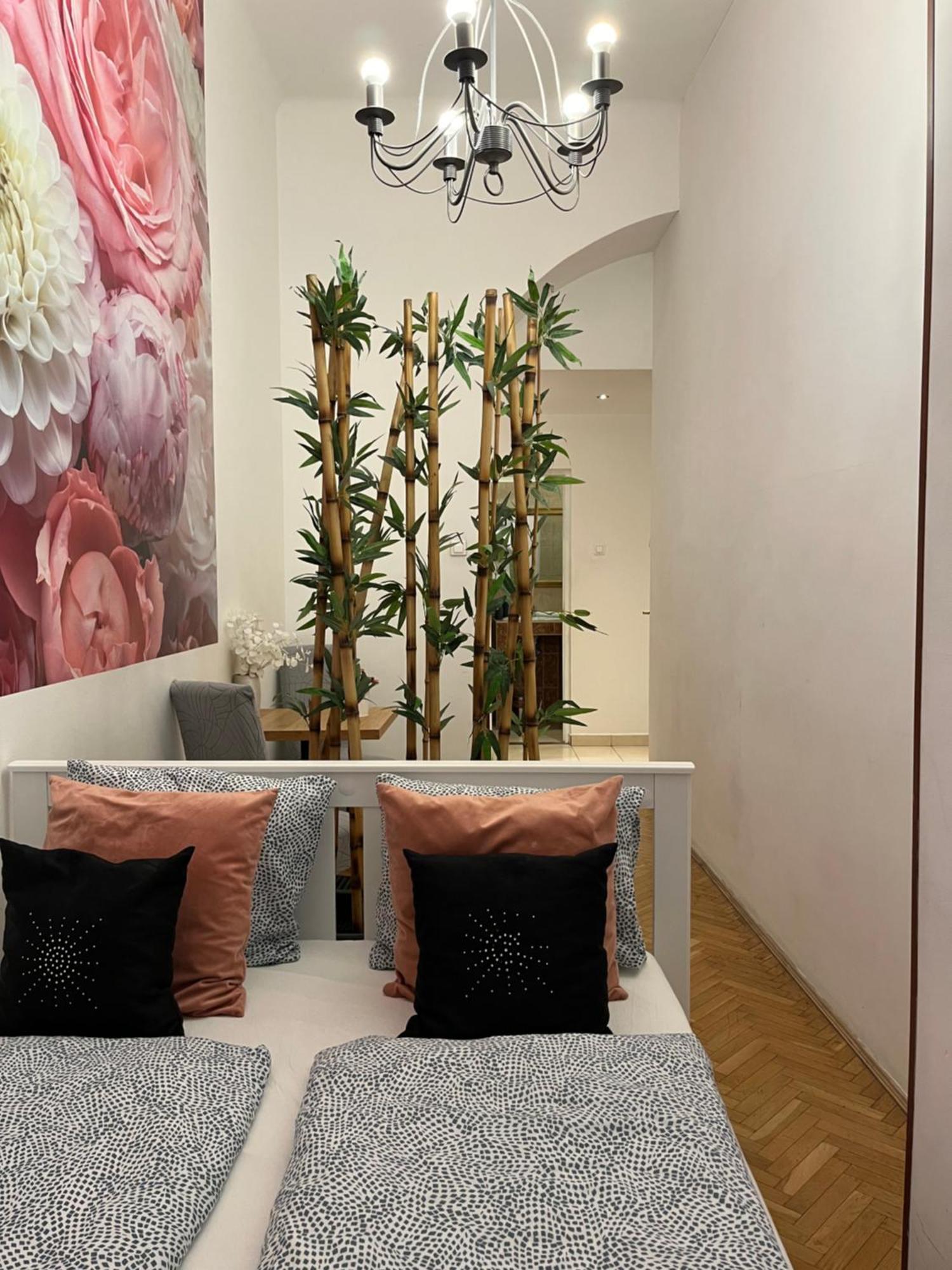 Millionrosesvintage Vaci Street Free Airconditioner And Coffee Apartament
