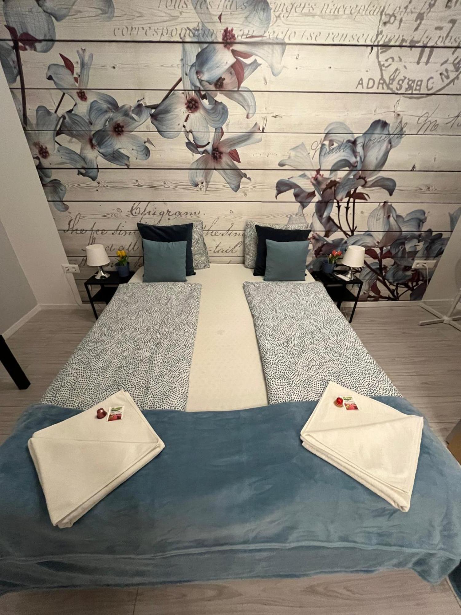 Millionrosesvintage Vaci Street Free Airconditioner And Coffee Apartament Budapeszt